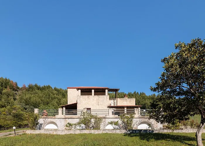 F & B Collection - Loutra Ajía Paraszkeví