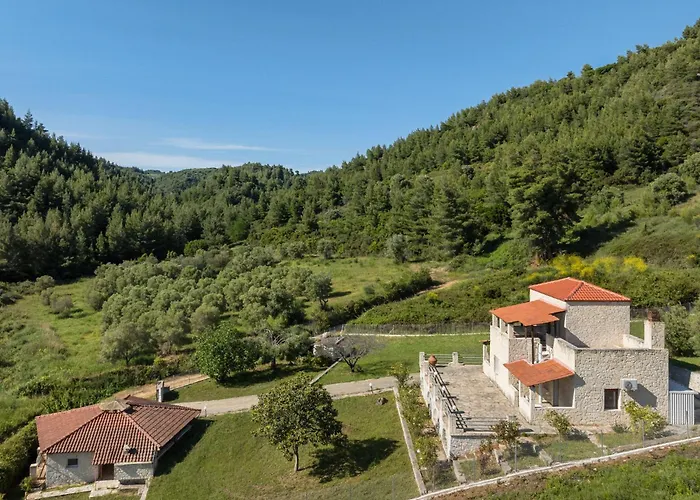 Daire F & B Collection - Loutra *